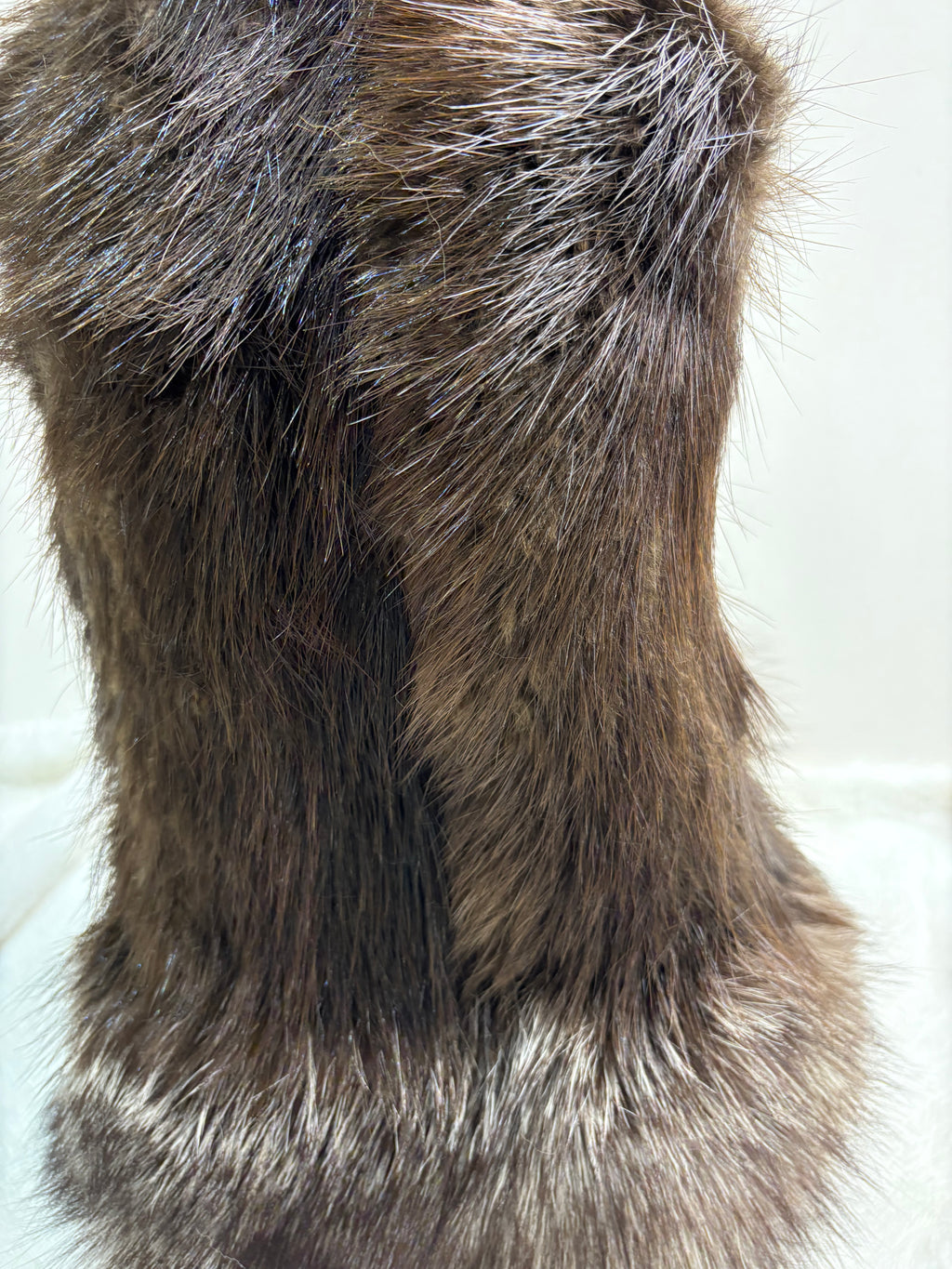 Mitaines de castor & renard