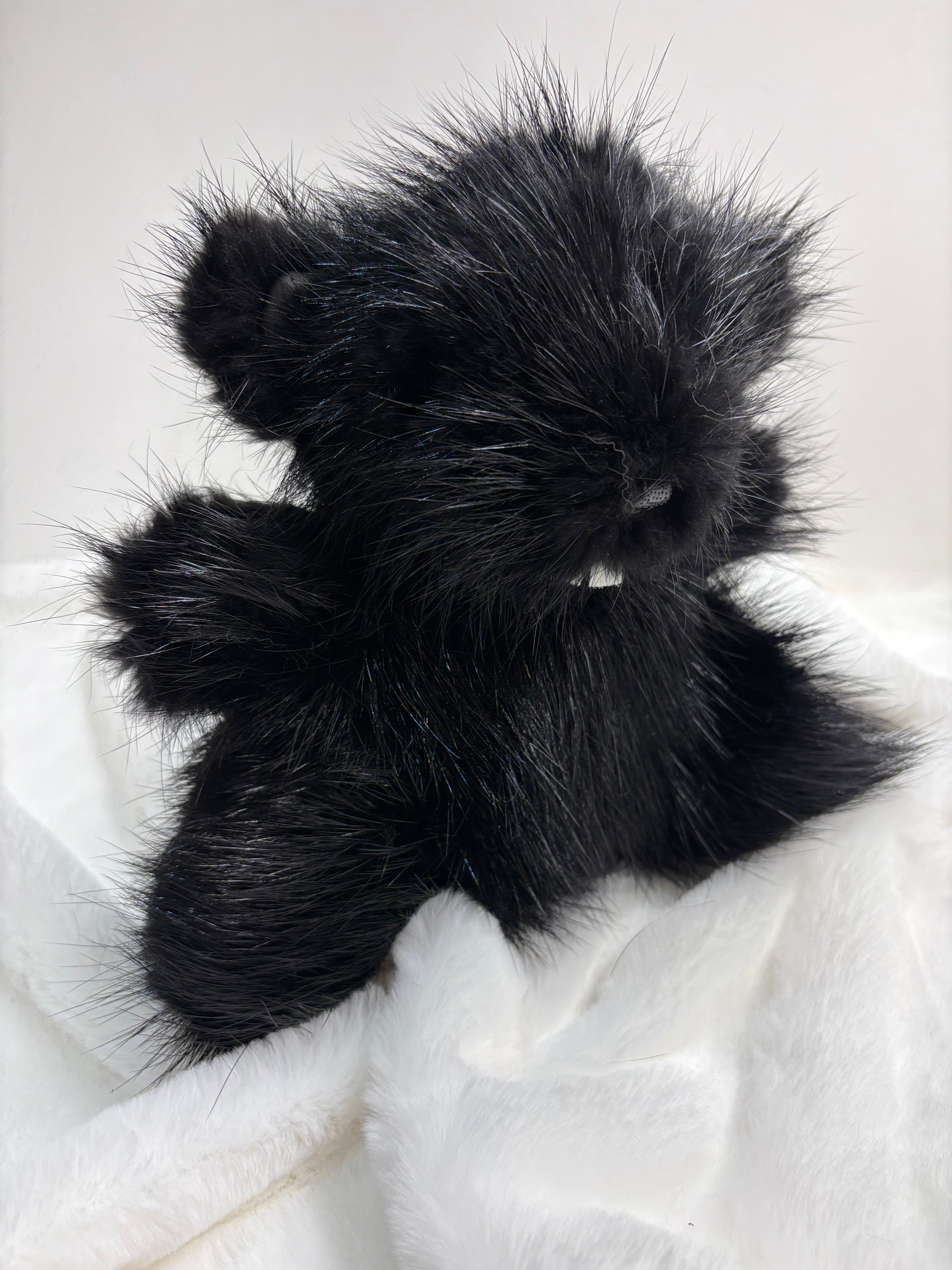 Petit Castor noir