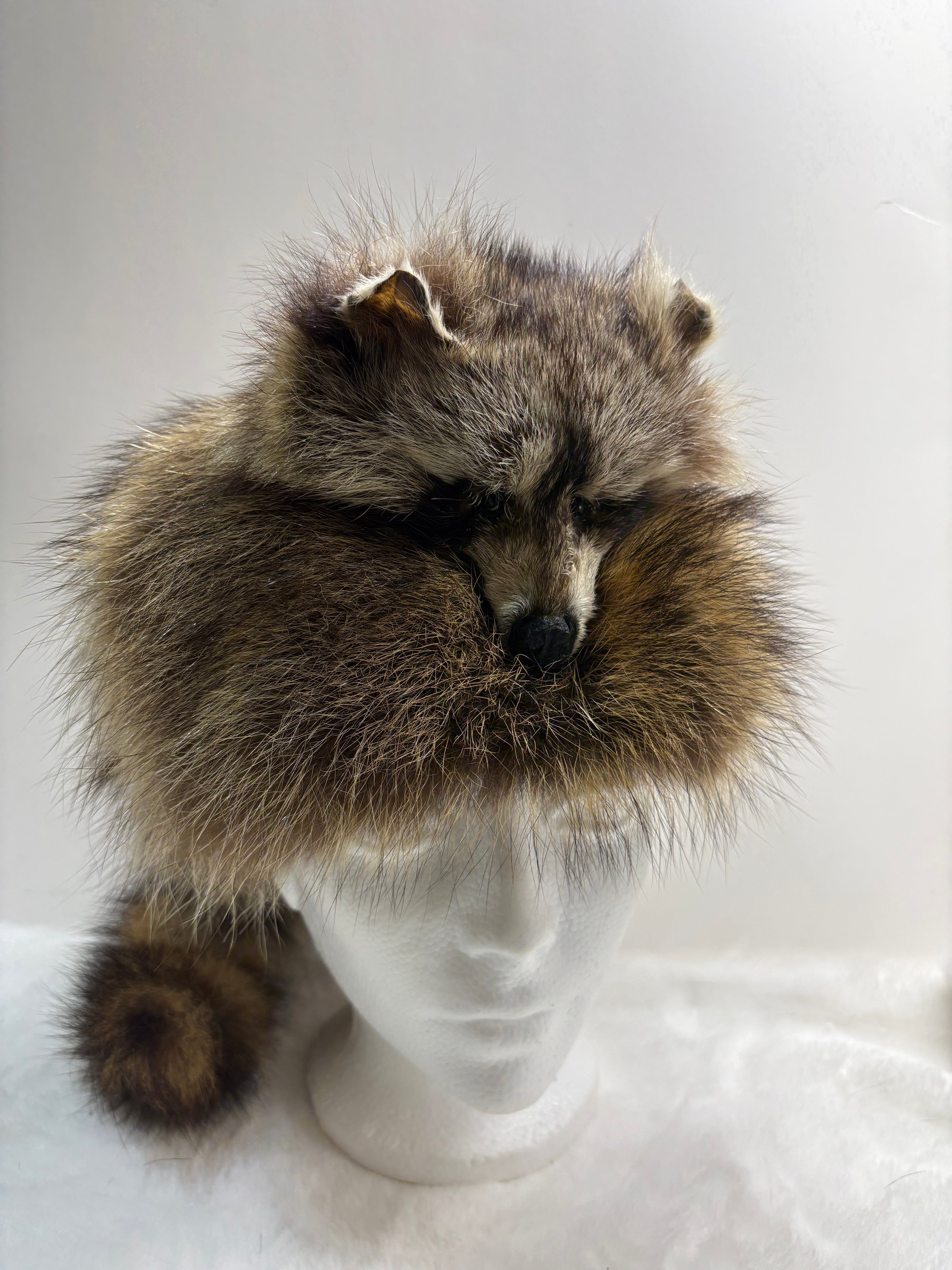 Chapeau de raton (Davy Crockett)