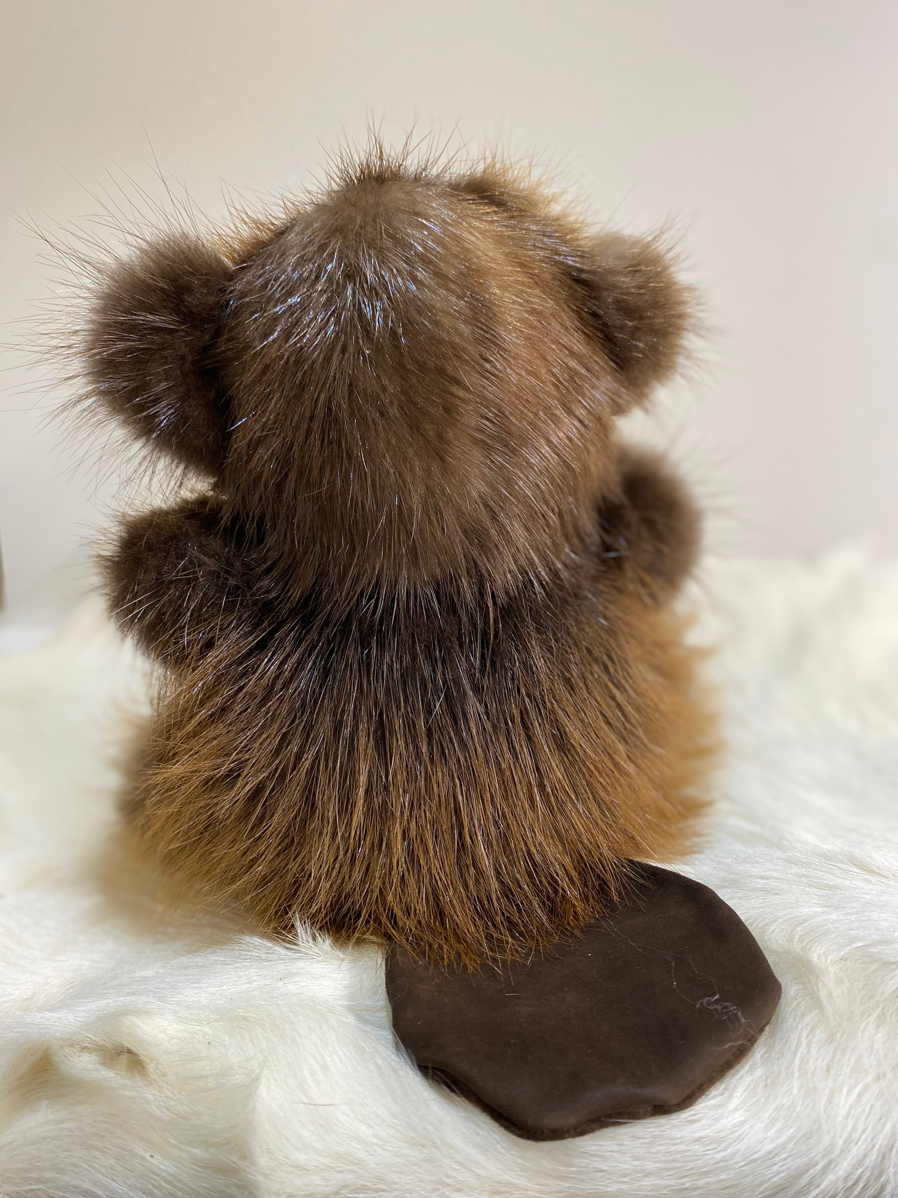 Peluche Le petit castor